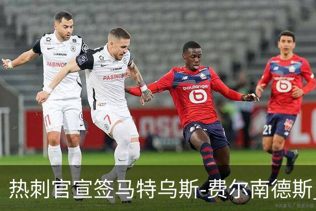 热刺官宣签马特乌斯-费尔南德斯 转会费8500万镑破纪录