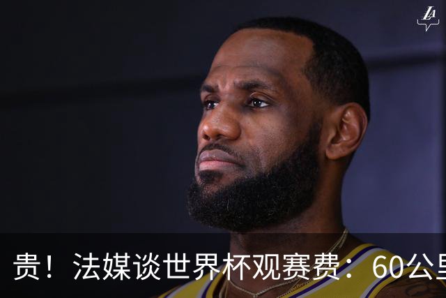 贵！法媒谈世界杯观赛费：60公里火车98美元，有人4天花4500欧元