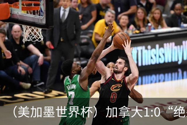 （美加墨世界杯）加拿大1:0“绝杀”南非 队史首进16强