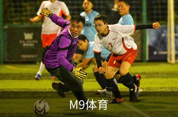 M9体育介绍